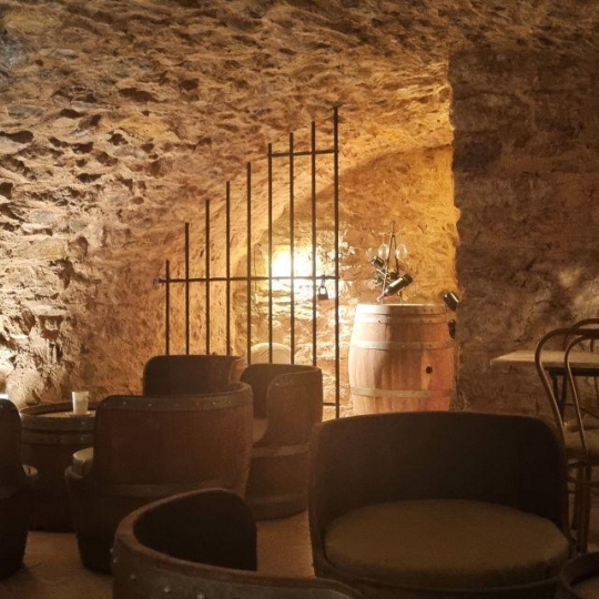  Annonces NARBONNE : Domaines / Propriétés | NARBONNE (11100) | 440 m2 | 1 100 000 &euro; 