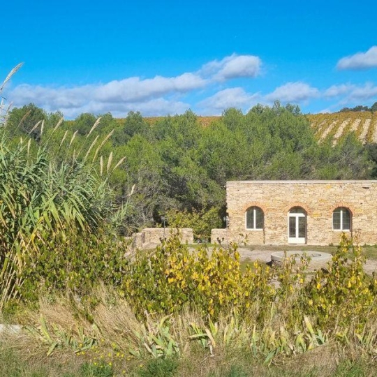  Annonces NARBONNE : Domaines / Propriétés | NARBONNE (11100) | 440 m2 | 1 100 000 &euro; 