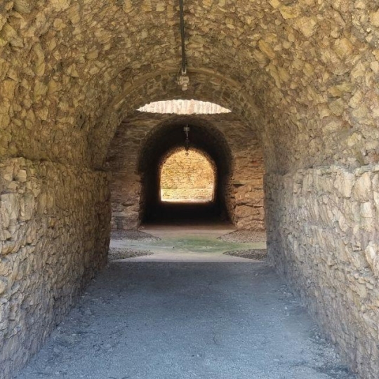  Annonces NARBONNE : Domaines / Propriétés | NARBONNE (11100) | 440 m2 | 1 100 000 &euro; 