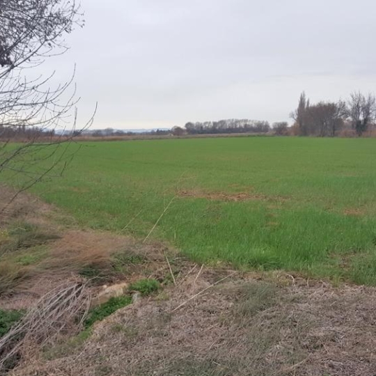  Annonces NARBONNE : Terrain | NARBONNE (11100) | 19 460 m2 | 45 000 &euro; 
