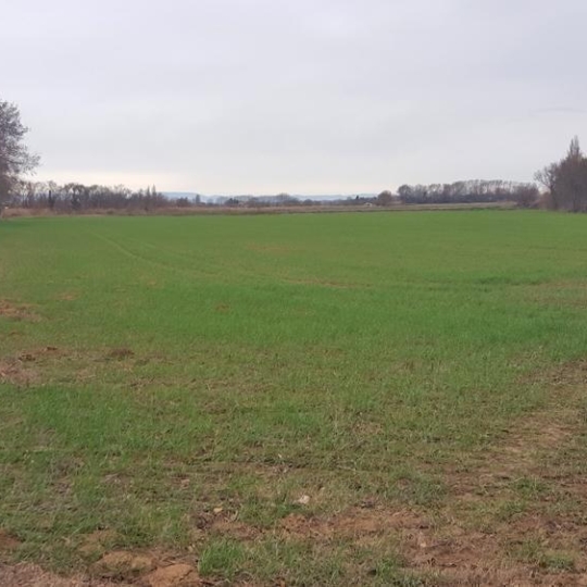 Annonces NARBONNE : Terrain | NARBONNE (11100) | 19 460 m2 | 45 000 &euro; 
