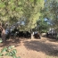  Annonces NARBONNE : Maison / Villa | SAINT-NAZAIRE-D'AUDE (11120) | 108 m2 | 259 000 &euro; 