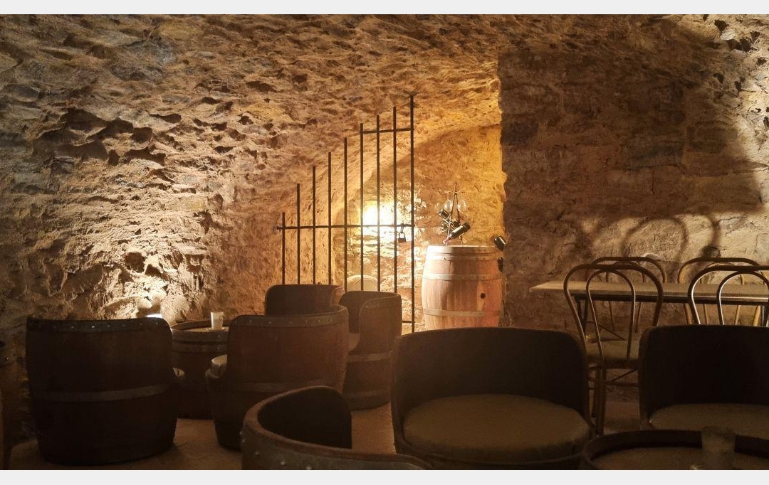 Annonces NARBONNE : Domaines / Propriétés | NARBONNE (11100) | 440 m2 | 1 100 000 &euro; 