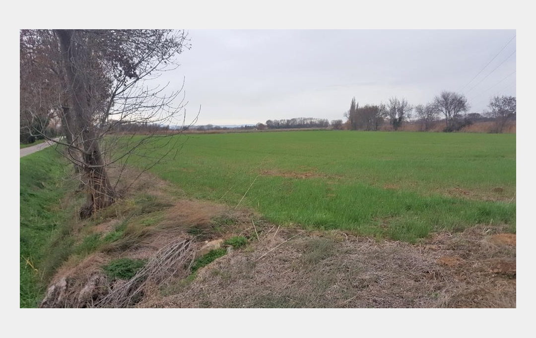 Annonces NARBONNE : Terrain | NARBONNE (11100) | 19 460 m2 | 45 000 &euro; 