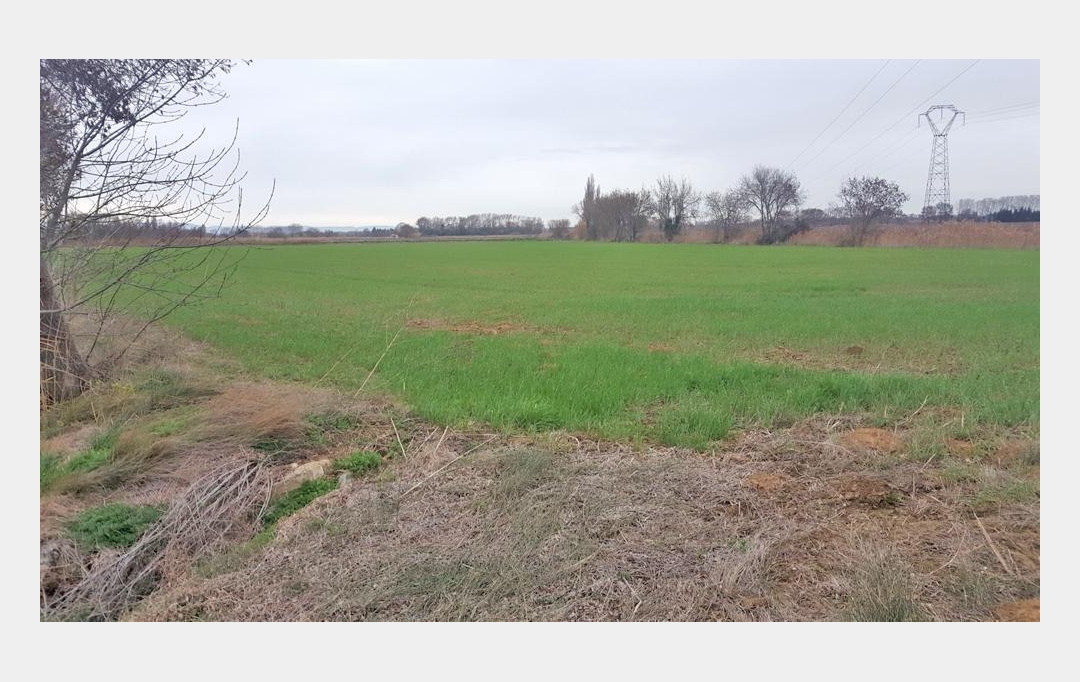 Annonces NARBONNE : Terrain | NARBONNE (11100) | 19 460 m2 | 45 000 &euro; 